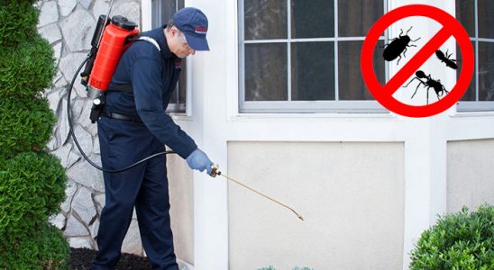 Tavşanlı Dezenfeksiyon böcek ilaçlama ve haşere kontrolü — ilaclama-tr.com